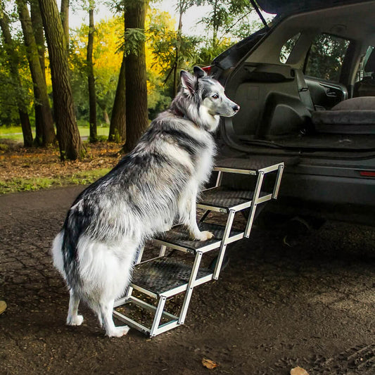 PupBench Foldable Dog Ramp & Stairs for Cars & SUVs