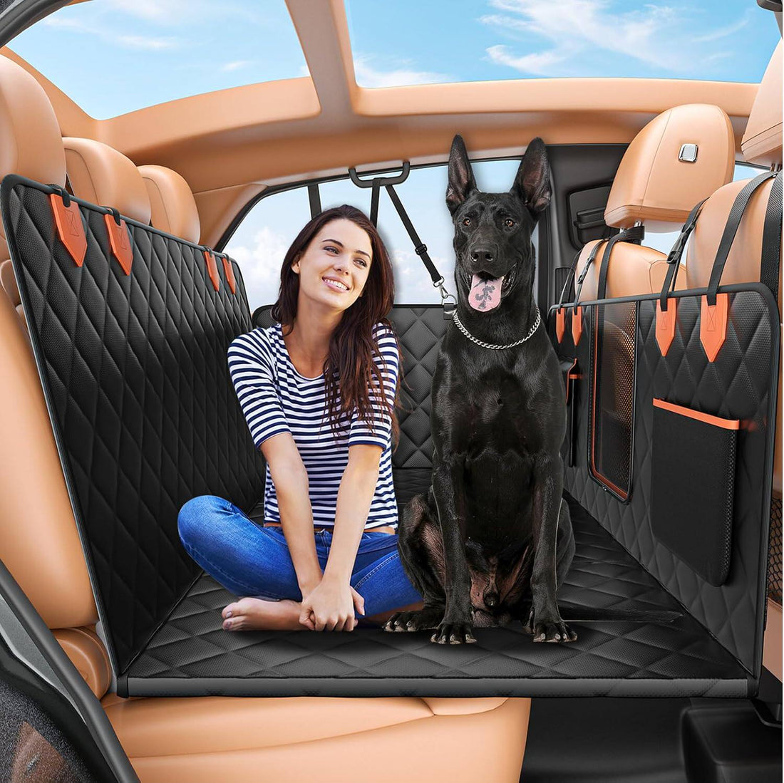 large dog sitting on a protected backseat setup